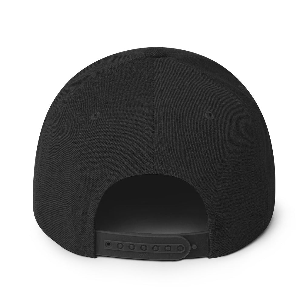 NBV Snapback Hat