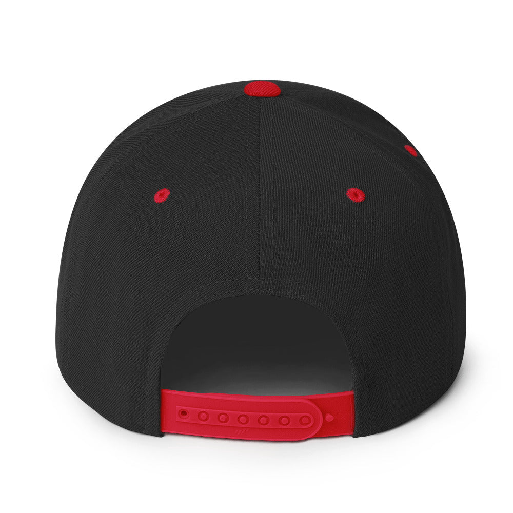 NBV Snapback Hat