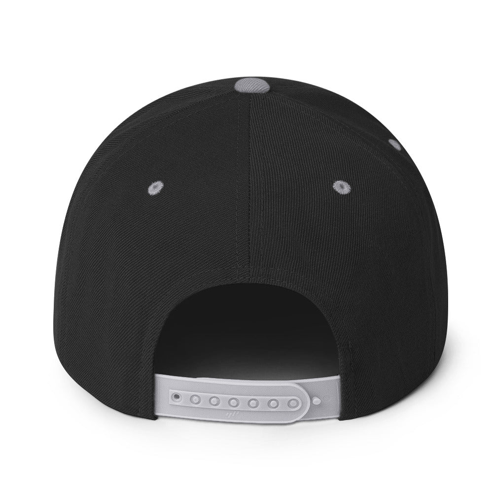 NBV Snapback Hat