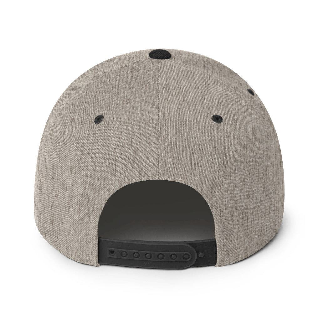 NBV Snapback Hat