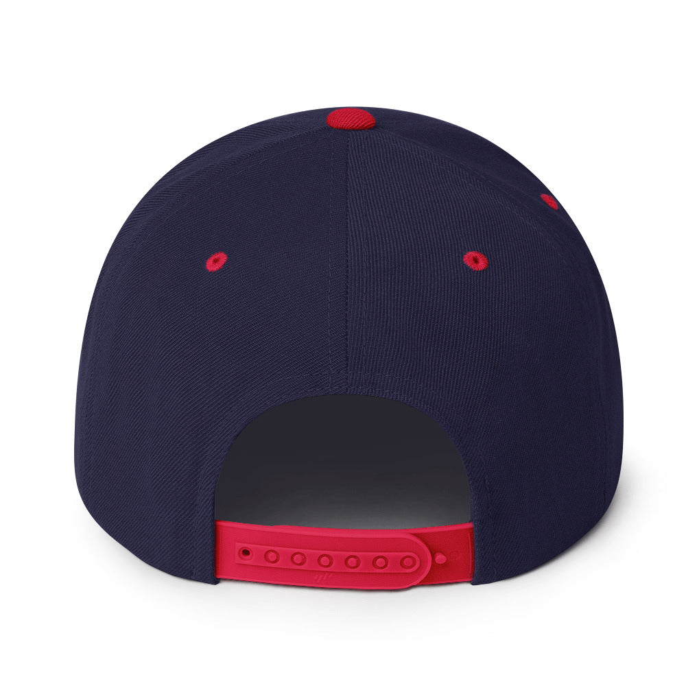 NBV Snapback Hat